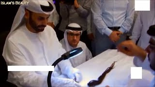 Prophet Muhammads Hair  Dubai Museum  HD  MUST WATCH [upl. by Nifares744]