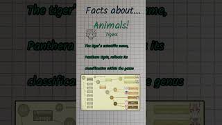 Facts about Tigers 036 [upl. by Ahseekat]