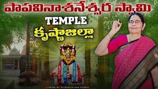 పాప వినాశ్వరేశ్వర స్వామి Temple Visit [upl. by Gravante7]