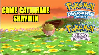 COME OTTENERE SHAYMIN CON IL GLITCH VOLO  SURF IN POKÉMON DIAMANTE LUCENTE E PERLA SPLENDENTE [upl. by Baalbeer]