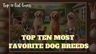 Top 10 Most Loved Dog Breeds in the World 2024 [upl. by Ecinad]