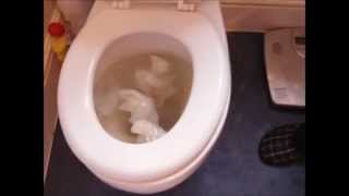 Unblocking a Toilet [upl. by Aural]