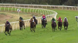 Goondiwindi 20240601 Race 6 [upl. by Onileba]