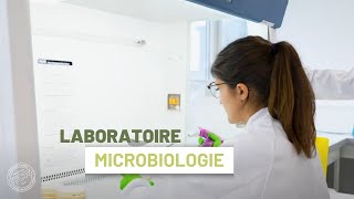 Microbiologie alimentaire Immersion dans le laboratoire du CTCPA [upl. by Ner]