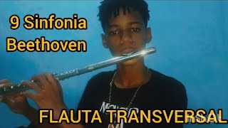 NONA SINFONIA DE BEETHOVEN  FLAUTA TRANSVERSAL MÚSICA CLÁSSICA [upl. by Navinod]