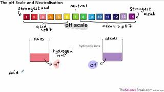 The pH Scale and Neutralisation for AQA 91 GCSE Chemistry and Trilogy Combined Science [upl. by Worrell]