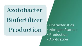 Azotobacter biofertilizer productionAzotobacter Nitrogen fixationApplication of Azotobacter [upl. by Imalda364]