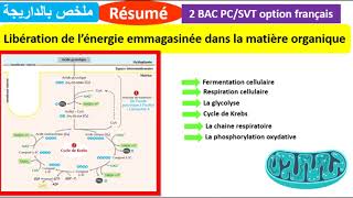 Exercice 1 Exercice 2 quotUnité 1  Consommation de la matière organique et flux d’énergiequot [upl. by Moitoso518]