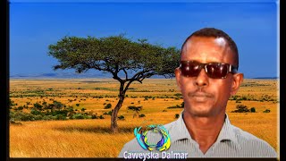 M Xasan Barow Ahun  Qalbigeygu Kama Tago  Ery X Ganey  Lxnka Aweys Goobe  TQ 10101984 [upl. by Ahsemal]