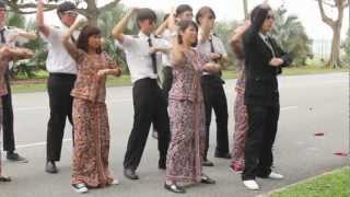 PSY  GANGNAM STYLE 강남스타일 HONGJEOM STYLE Singapore Parody [upl. by Ennairac427]