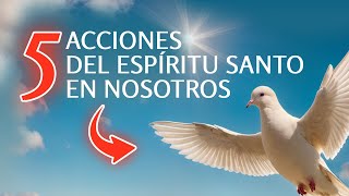 5 ACCIONES PODEROSAS del ESPÍRITU SANTO [upl. by Roberson247]