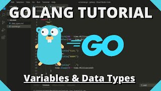 Golang Tutorial 2  Variables amp Data Types [upl. by Mahmoud]