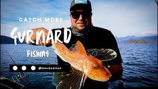 Catch more Gurnard  Tweak Your Rigs [upl. by Kelli817]