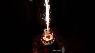 Birthday Cake fireworksSparkling Candle Shorts [upl. by Hosfmann]