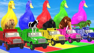 5 Giant Duck CartoonCowMammothTigerLionDinosaurPaint Wild Animals Crossing Fountain Animation [upl. by Esmerolda]