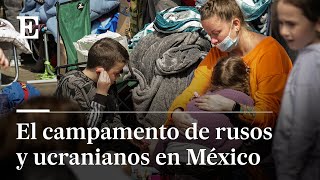 REFUGIADOS de la GUERRA en UCRANIA llegan a MÉXICO  EL PAÍS [upl. by Nirac]