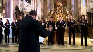 Thomas Hanelt Jubilate Deo  Cantate Venlo The Netherlands [upl. by Eatnad]