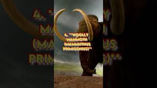 Top 10 Extinct Animals In The World top10 extinctanimals animals intheworld [upl. by Matless]