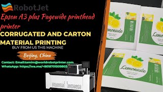 RobotJet epson A3 plus PageWide Printer Corrugated carton box Single Pass Digital Printer [upl. by Thisbee157]