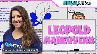 Leopold Maneuvers [upl. by Niatsirhc356]