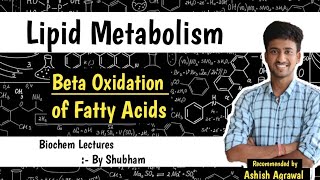 Biomolecules Older Video 2016 [upl. by Sila]