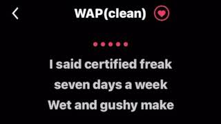 WAP Clean lyrics by Cardi B ft Megan theeKaraoke Version [upl. by Sherburne]