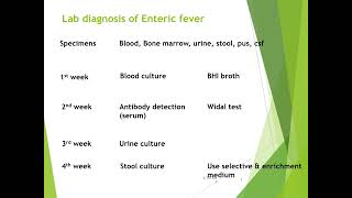 Types treatment and diagnosis of Salmonella [upl. by Bernetta585]