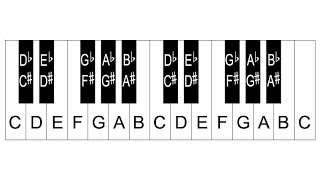 Piano Keys And Notes  Learn How To Label The Piano Keyboard [upl. by Arie]