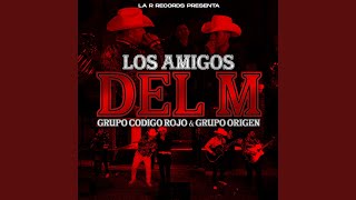 Los Amigos del M En Vivo [upl. by Polloch]