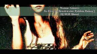 Namie Amuro  So Crazy Breakwater Riddim Remix  DJ SGR Blend [upl. by Zurek]