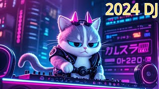 Dj Remix 2024 [upl. by Nyliac85]