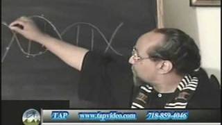 Phil Valentine Metaphysics of DNA PT 3 [upl. by Maclean25]