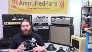 Ampeg B15 FlipTop The coolest bass amp [upl. by Hemetaf574]