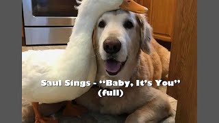 Saul Sings  “Baby It’s You” full [upl. by Halet]