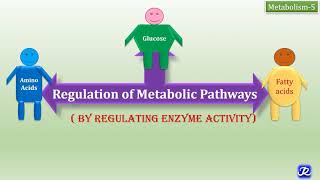 5 Regulation of Metabolic Pathways  Mechanisms of Regulation of Enzyme Activity Metabolism5 [upl. by Cristi156]