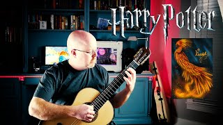 Fawkes the Phoenix from Harry Potter and the Chamber of Secrets Acoustic Fingerstyle Cover [upl. by Notsa441]