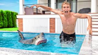 SHARK in my POOL AFTER MAJOR FLOOD [upl. by Okwu]