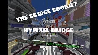 GETTING BRIDGE ROOKIE TITLE Minecraft Hypixel Duels [upl. by Sachiko]