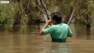 Flooding worst in 50 years as 150000 flee in Paraguay Argentina Brazil and Uruguay BBC News [upl. by Marv672]