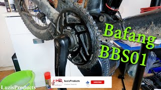 Bafang BBS01 Mittelmotor  Wartung nach 4000Km  Komplett Tutorial [upl. by Uhej]