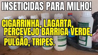 INSETICIDAS PARA O MILHO MATA LAGARTA CIGARRINHA PERCEVEJO BARRIGA VERDE PULGÃO TRIPES [upl. by Gotthard]