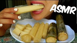 ASMR Sugarcane Crunchy and Juicy EATING SOUNDS  SASASMR [upl. by Yentruoc]