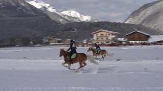 Haflinger Winterrennen in Längenfeld [upl. by Ahsiem656]