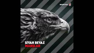 Beşiktaş marşı sen benim her gece efkarım🖤🤍🦅 [upl. by Ardnaskela]