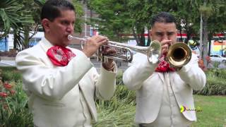 MARIACHI MAZATLANLa Venia BenditaJorge LondoñoCEL 3144138430 [upl. by Ailedamla]