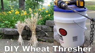 The Easiest Way to Thresh and Winnow Wheat by Hand [upl. by Weixel]