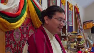 HH yangsi Dudjom Tenzin yeshe Rinpoche Dorje Rinpoche at Bodhivastu praying 🙏 [upl. by Illil451]