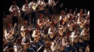 Índia  Orquestra Paulistana de Viola Caipirawmv [upl. by Giustino655]