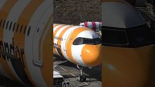 Condor Airlines at Madeira Airport – a lucky day to see them shorts [upl. by Avehstab]