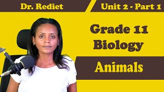 Grade 11 Biology Unit 2 Animals Part 1  Dr Rediet [upl. by Costanzia]